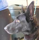 27 Narrows GSD Male